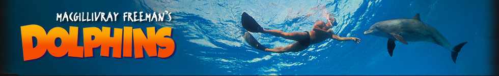 Grand Canyon Adventure header Grand Canyon Adventure header