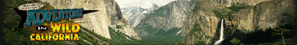 Grand Canyon Adventure header