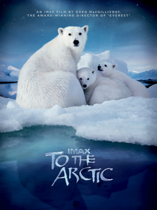 To The Arctic Poster