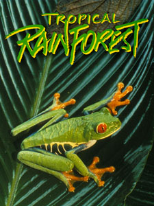 Tropical Rainforest